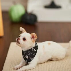 Frisco Glow In The Dark Mystical Print Dog & Cat Bandana -Meow Meals 261218 PT5. AC SS1800 V1633057869