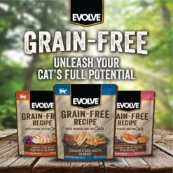 Evolve Chicken & Beef Recipe In Gravy Grain-Free Wet Pouch Cat Food, 3-oz Pouch, Case Of 24 19 Evolve Chicken & Beef Recipe In Gravy Grain-Free Wet Pouch Cat Food, 3-oz Pouch, Case Of 24 -Meow Meals 262858 PT8. AC SS1800 V1606866466
