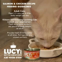Lucy Pet Products Kettle Creations Salmon & Chicken Recipe In Gravy Wet Cat Food, 2.47-oz Can, Case Of 12 -Meow Meals 263496 PT5. AC SS1800 V1607439504