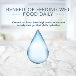 Blue Buffalo Tastefuls Salmon, Chicken, Ocean Fish & Tuna Entrées Variety Pack Pate Wet Cat Food, 3-oz Can, Case Of 12 -Meow Meals 264515 PT6. AC SS1800 V1689355755