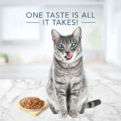 Blue Buffalo Tastefuls Chicken Entrée In Gravy Flaked Wet Cat Food -Meow Meals 264526 PT2. AC SS1800 V1630734978