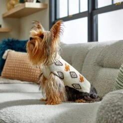 Disney Mickey Mouse Southwest Patterned Dog & Cat Sweater -Meow Meals 264577 PT8. AC SS1800 V1646178494