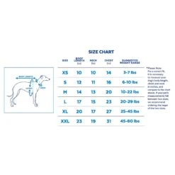 Disney Mickey Mouse Rugby Dog & Cat Polo -Meow Meals 264587 PT1. AC SS1800 V1627335376