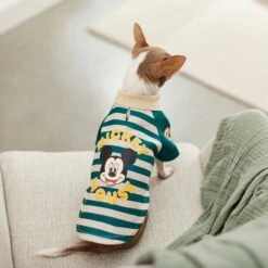 Disney Mickey Mouse Rugby Dog & Cat Polo -Meow Meals 264587 PT8. AC SS1800 V1629486809
