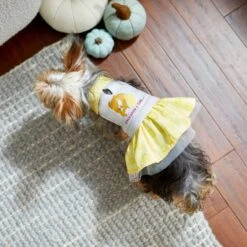 Disney Belle "Once Upon A Time" Dog & Cat Sweatshirt Dress 18 Disney Belle "Once Upon A Time" Dog & Cat Sweatshirt Dress -Meow Meals 264600 PT7. AC SS1800 V1637654207