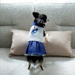 Disney Cinderella "Dreams Come True" Dog & Cat Sweatshirt Dress -Meow Meals 264640 PT7. AC SS1800 V1637729522