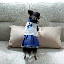 Disney Cinderella "Dreams Come True" Dog & Cat Sweatshirt Dress -Meow Meals 264640 PT8. AC SS1800 V1629487173