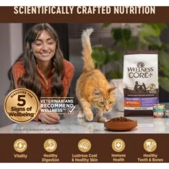 Wellness CORE Digestive Health Chicken & Turkey Pate Variety Pack Grain-Free Wet Cat Food -Meow Meals 264904 PT4. AC SS1800 V1608692275