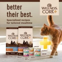 Wellness CORE Digestive Health Chicken & Turkey Pate Variety Pack Grain-Free Wet Cat Food -Meow Meals 264904 PT7. AC SS1800 V1640206005