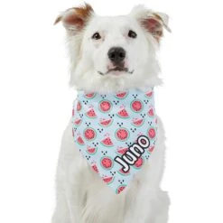 Frisco Watermelons Personalized Dog & Cat Bandana -Meow Meals 267458 PT6. AC SS1800 V1632432415
