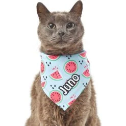 Frisco Watermelons Personalized Dog & Cat Bandana -Meow Meals 267458 PT7. AC SS1800 V1632432684