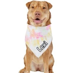 Frisco Tiedye Personalized Dog & Cat Bandana -Meow Meals 267482 PT6. AC SS1800 V1632428490