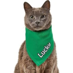 Frisco Solid Color Personalized Dog & Cat Bandana 18 Frisco Solid Color Personalized Dog & Cat Bandana -Meow Meals 267489 PT7. AC SS1800 V1632431774