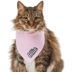 Frisco Solid Pastel Personalized Dog & Cat Bandana -Meow Meals 267514 PT7. AC SS1800 V1632434472