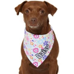 Frisco Bright Floral Personalized Dog & Cat Bandana -Meow Meals 267535 PT7. AC SS1800 V1623164573