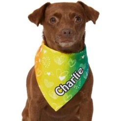 Frisco Rainbow Hearts Personalized Dog & Cat Bandana -Meow Meals 267539 PT5. AC SS1800 V1632432071