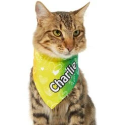 Frisco Rainbow Hearts Personalized Dog & Cat Bandana -Meow Meals 267539 PT6. AC SS1800 V1632420703