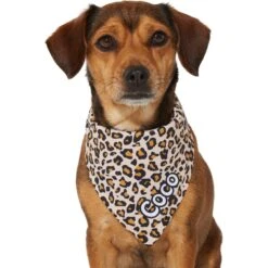 Frisco Leopard Print Personalized Dog & Cat Bandana -Meow Meals 267543 PT7. AC SS1800 V1623164552
