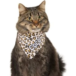 Frisco Leopard Print Personalized Dog & Cat Bandana -Meow Meals 267543 PT8. AC SS1800 V1623164342