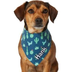 Frisco Cactus Personalized Dog & Cat Bandana -Meow Meals 267551 PT7. AC SS1800 V1623164614