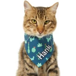 Frisco Cactus Personalized Dog & Cat Bandana -Meow Meals 267551 PT8. AC SS1800 V1623164657