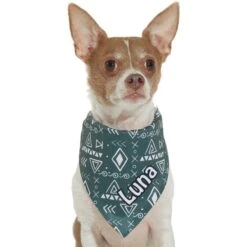 Frisco Boho Geo Personalized Dog & Cat Bandana -Meow Meals 267559 PT7. AC SS1800 V1623164863
