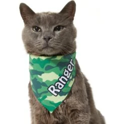 Frisco Green Camo Personalized Dog & Cat Bandana -Meow Meals 267563 PT8. AC SS1800 V1623182074