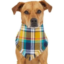 Frisco Blue/Yellow Plaid Dog & Cat Flannel Bandana -Meow Meals 267901 PT2. AC SS1800 V1637717796