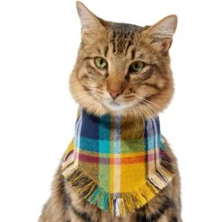 Frisco Blue/Yellow Plaid Dog & Cat Flannel Bandana -Meow Meals 267901 PT3. AC SS1800 V1637677287