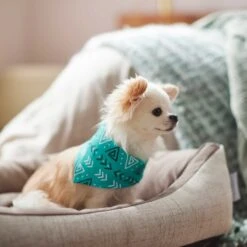 Frisco Geometric Dog & Cat Bandana -Meow Meals 267907 PT5. AC SS1800 V1637652153