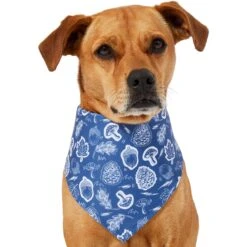 Frisco Fall Vibes Dog & Cat Bandana 12 Frisco Fall Vibes Dog & Cat Bandana -Meow Meals 267913 PT2. AC SS1800 V1637722647