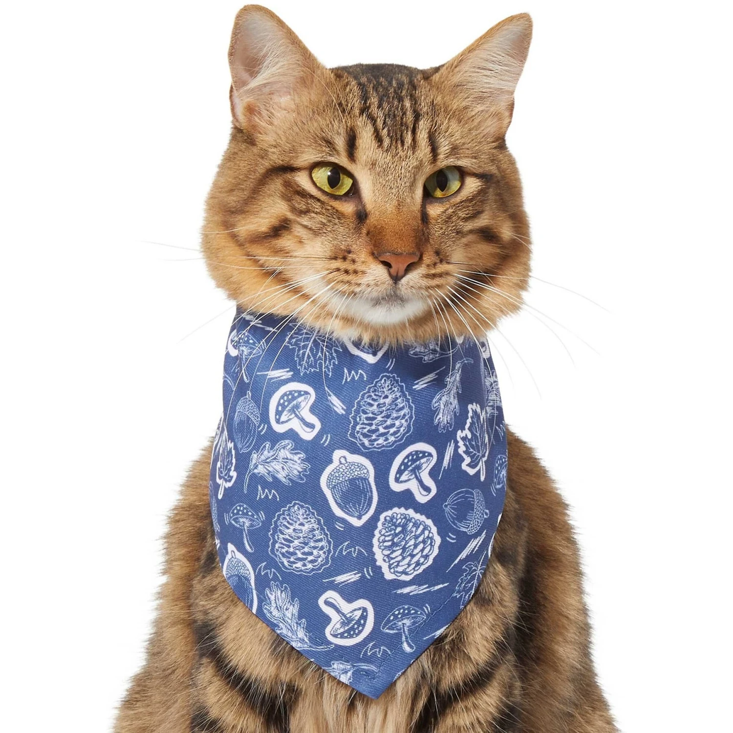Frisco Fall Vibes Dog & Cat Bandana 6 Frisco Fall Vibes Dog & Cat Bandana - Image 4