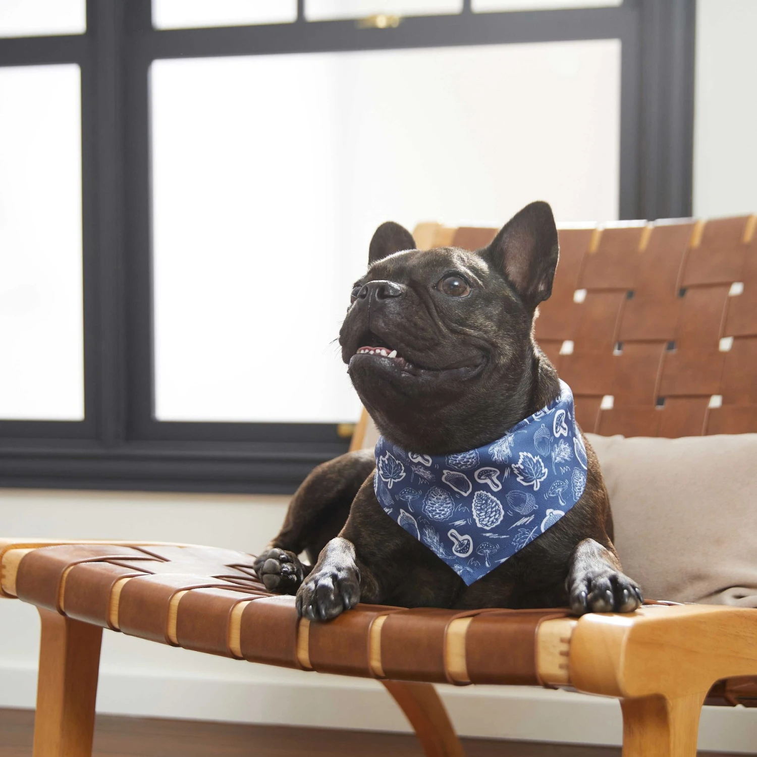 Frisco Fall Vibes Dog & Cat Bandana 8 Frisco Fall Vibes Dog & Cat Bandana - Image 6