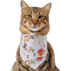 Frisco Wintry Vibes Dog & Cat Bandana 13 Frisco Wintry Vibes Dog & Cat Bandana -Meow Meals 267916 PT3. AC SS1800 V1637657814