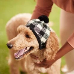 Frisco Plaid Dog & Cat Knitted Hat -Meow Meals 267925 PT8. AC SS1800 V1629755603