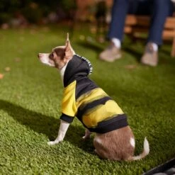 Frisco Rebel Dog & Cat Hoodie -Meow Meals 267994 PT8. AC SS1800 V1629758309