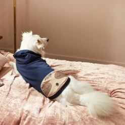 Frisco Sloth Pocket Dog & Cat Lightweight Hoodie -Meow Meals 268018 PT8. AC SS1800 V1629761810