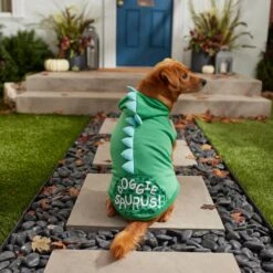 Frisco Doggiesaurus Dog & Cat Hoodie, Green 17 Frisco Doggiesaurus Dog & Cat Hoodie, Green -Meow Meals 268033 PT8. AC SS1800 V1629763006