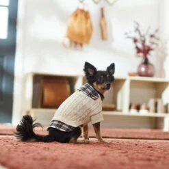 Frisco Cream Cable Knit Dog & Cat Sweater, White/Red Plaid -Meow Meals 268057 PT8. AC SS1800 V1629766069