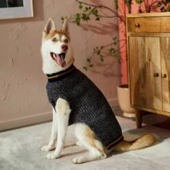 Frisco Heathered Knit Dog & Cat Sweater With 60% Recycled Content -Meow Meals 268159 PT8. AC SS1800 V1629758773