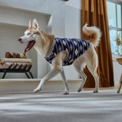 Frisco Lightweight Southwest Dog & Cat Polar Fleece Vest -Meow Meals 268167 PT8. AC SS1800 V1629756292