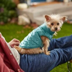 Frisco Lightweight Packable Insulated Dog & Cat Quilted Puffer Coat, Ocean Teal -Meow Meals 268280 PT8. AC SS1800 V1629836601