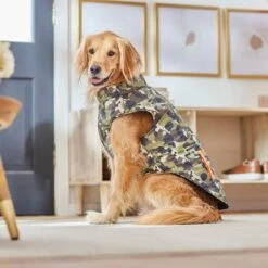 Frisco Mediumweight Camo Print Insulated Dog & Cat Zippered Coat, Green -Meow Meals 268295 PT8. AC SS1800 V1629755320