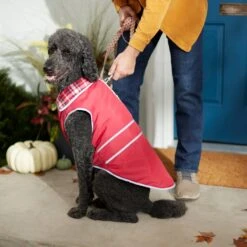 Frisco Mediumweight Reflective Water-Resistant Insulated Dog & Cat Coat -Meow Meals 268342 PT8. AC SS1800 V1629764397