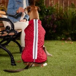 Frisco Mediumweight Reflective 2-in-1 Dog & Cat Fleece Coat -Meow Meals 268359 PT8. AC SS1800 V1629759326