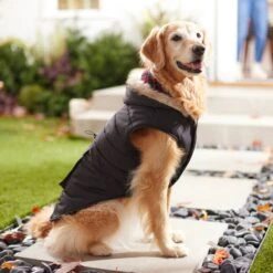 Frisco Mid-Heavyweight Cinching Insulated Dog & Cat Parka, Black/Red Plaid 15 Frisco Mid-Heavyweight Cinching Insulated Dog & Cat Parka, Black/Red Plaid -Meow Meals 268382 PT8. AC SS1800 V1629762008