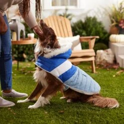 Frisco Heavyweight Chevron Insulated Dog & Cat Parka With Pocket -Meow Meals 268405 PT8. AC SS1800 V1629766395