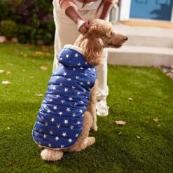 Frisco Mediumweight Metallic Star Print Insulated Dog & Cat Parka, Navy -Meow Meals 268413 PT8. AC SS1800 V1629757357
