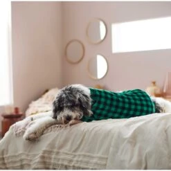 Frisco Dog & Cat Cozy Plush Fleece PJs, Green Plaid -Meow Meals 268517 PT5. AC SS1800 V1637644798