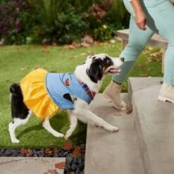 Frisco Chambray Plaid Dog & Cat Dress -Meow Meals 268637 PT8. AC SS1800 V1629757964